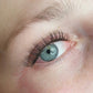 Silk Cashmere Flat Lashes 1 zu 1 Wimpern